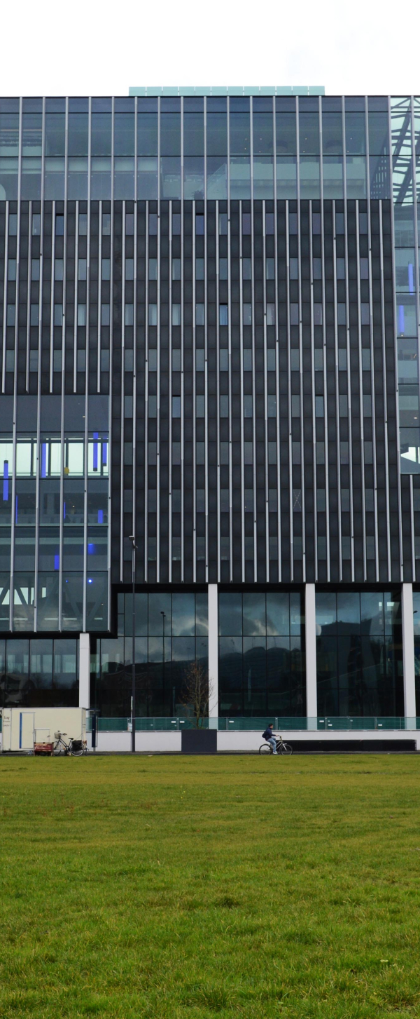 03. Level - Anton van Daal.jpg