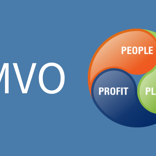 MVO visual .jpg