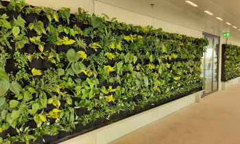 Wand beplanting.jpg